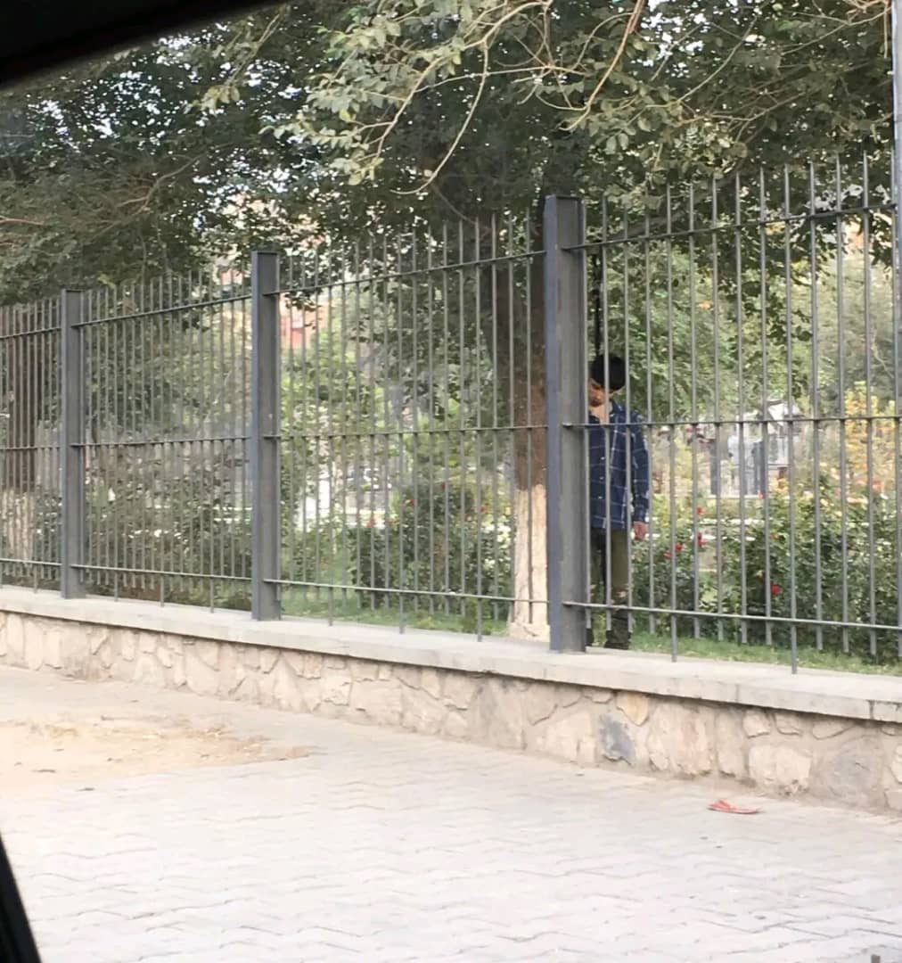 Kabul, the city of horror; The body of a young man from Kabul was found hanging from a tree