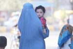 The poverty, unemployment, and increasing economic challenges of female heads of households in Ghor   