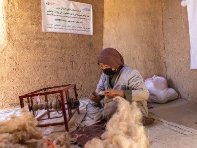 The Carpet Weaving Industry Serves as a Source of Income for Women in Afghanistan