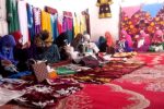 Economic Challenges Faced by Businesswomen in Bamyan Province