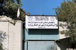 A Woman and a Man Arrested in Kabul