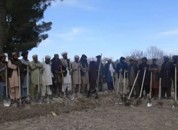زابل کې طالبانو د کار بدل کې د غنمو ورکولو پروسه پیل کړې