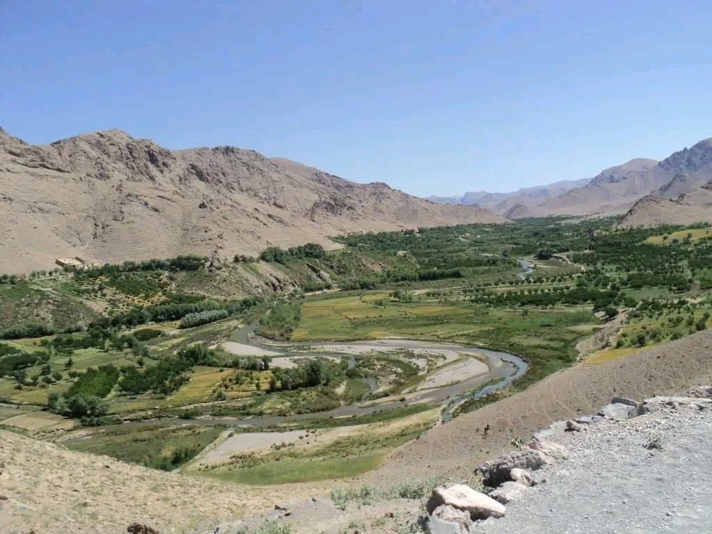 Suicide of a young girl in response to forced marriage in Uruzgan