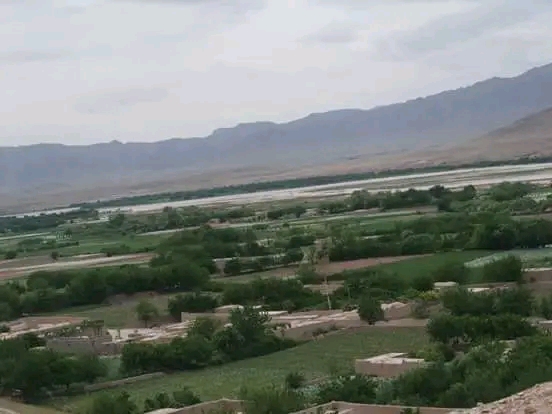 Suicide of a nineteen-year-old girl in Uruzgan