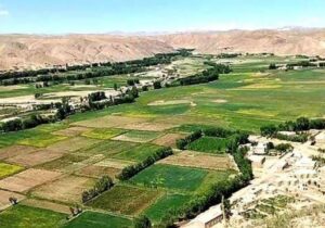در پی انفجار گلوله هاوان در غور دست کم سه کودک کشته و زخمی شدند