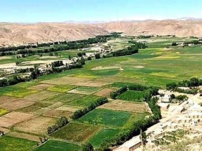 در پی انفجار گلوله هاوان در غور دست کم سه کودک کشته و زخمی شدند