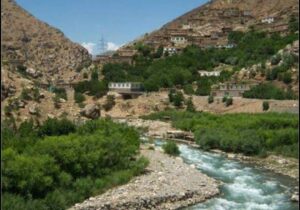 اعضای طالبان در ولایت پروان به قصد فرار دادن یک دختر بر خانه‌ای هجوم بردند