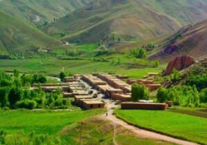 زنبور گزیدگی جان یک دختر را در دایکندی گرفت