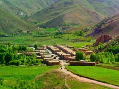 زنبور گزیدگی جان یک دختر را در دایکندی گرفت
