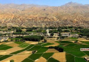 طالبان سه نفر را در بامیان بازداشت کردند