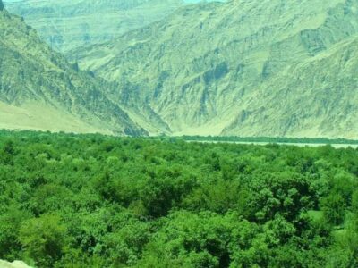 افزایش بیش از حد خودکشی دختران نوجوان در حکومت طا.لبان