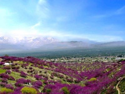 مردی در پروان همسرش را با ریسمان کشت