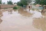 سیلاب در فاریاب سبب کشته و مجروح‌ شدن ۸۰ تن شد.  