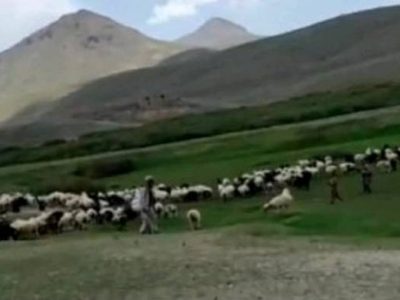 کوچی‌های مسلح شش نفر را در ولایت میدان وردک زخمی نمودند
