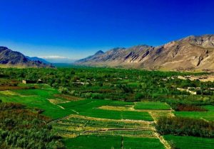 جوانی در کاپیسا به زنده‌گی‌اش پایان داد