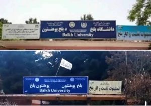 فرهنگ سازی یا فارسی زدایی 