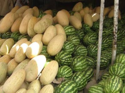 نارضایتی باغداران در شمال از نبود بازار برای فرآورده های‌شان 
