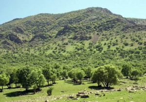 بازداشت و لت و کوب بیش از ۳۰ تن در تخار 