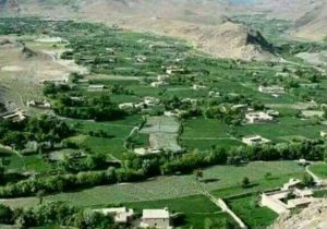 یک پسر جوان در دایکندی خودکشی کرد
