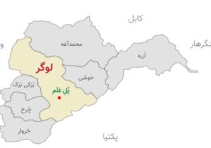 یک دختر جوان و خانم برادرش خودکشی کردند