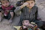 ۳.۲ میلیون کودک و ۸۴۰ هزار زن در بحران سوءتغذی در افغانستان به سر می‌برند
