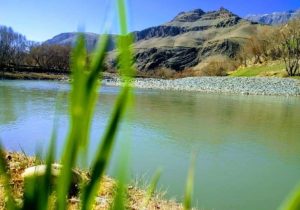 طالبان در دایکندی نیز تصویر برداری را منع کرد