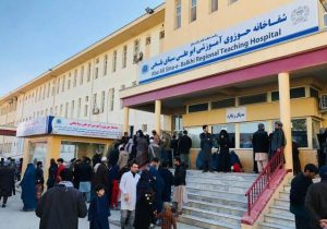 افزایش بیماری «لشمانیا» در بلخ 