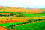 یک دختر ۱۶ ساله با خوردن تیزاب به زنده‌گی اش پایان داد