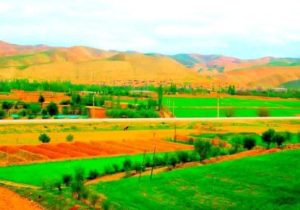 یک دختر ۱۶ ساله با خوردن تیزاب به زنده‌گی اش پایان داد
