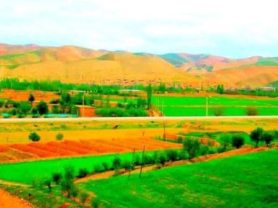 یک دختر ۱۶ ساله با خوردن تیزاب به زنده‌گی اش پایان داد