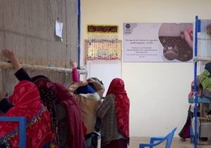 فعال سازی یک ‌کارخانه قالین‌بافی در بلخ