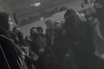 گریه‌ی که گوش شنوا ندارد 