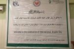 نمایش «خط‌بریل» در روز جهانی این خط